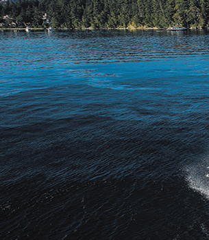 North Pacific Yachts 44 Sedan