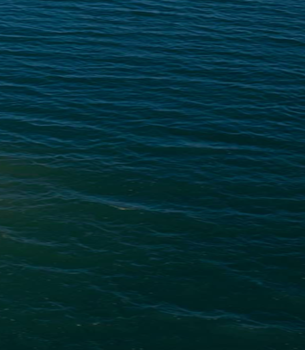 North Pacific Yachts 490 Pilothouse