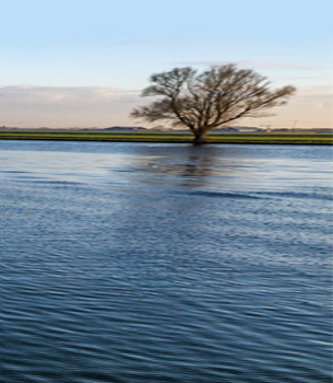Van den Hoven Voyager 50